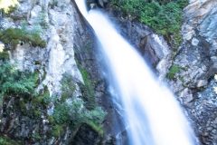 09082021-_DSF5846