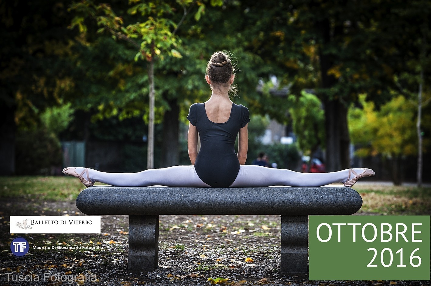D3H7945_ottobre