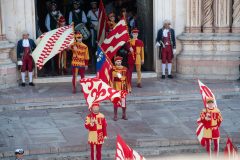D3H0566