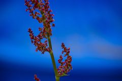 ERS_9084_2