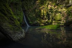 ERS_8345