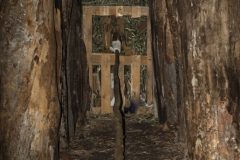 focarone-5