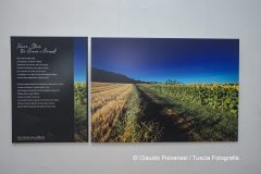 Inaugurazione-GLI-OCCHI-DELLA-MENTE-4