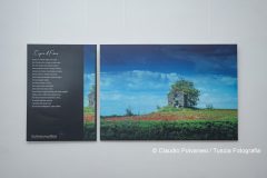 Inaugurazione-GLI-OCCHI-DELLA-MENTE-8