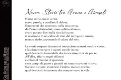 Gli occhi della mente 14 