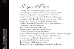 Gli occhi della mente 20