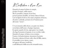 Gli occhi della mente 28
