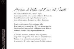 Gli occhi della mente 8