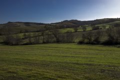 DSCF0061