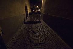 DSC_1055