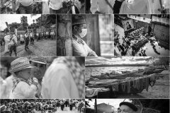 Collage_7