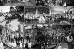 Collage_8