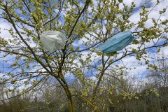 3-primavera-in-maschera