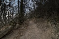 DSC_6981