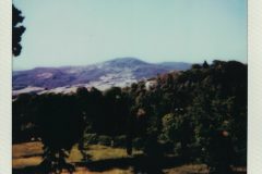 Polaroid_Scan2026-06-27_061251_005