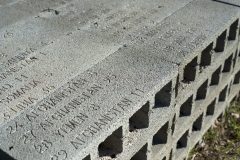 D3H8773