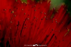 ERS_0051