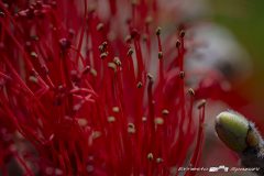 ERS_0054