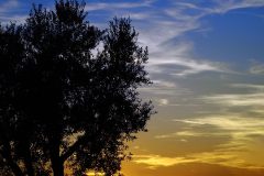 DSC_3341_tramonto_R