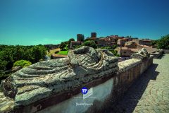 D3H6766_tuscania_Luglio_07
