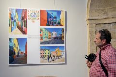Mostra14